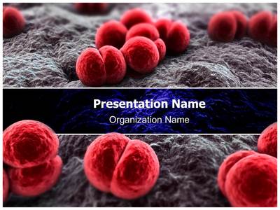 Editable Meningitis PowerPoint Presentation Templates Meningitis