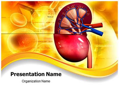 presentation template for kidney