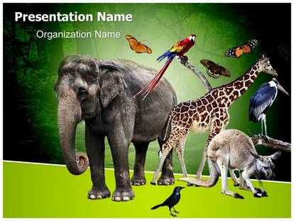 zoology presentation template