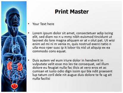 Free Urinary System Medical PowerPoint Template For Medical PowerPoint ...