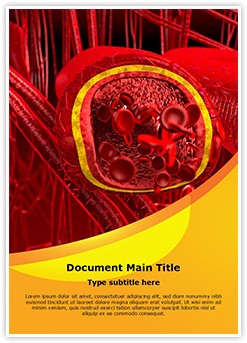 Blood Arteries and Veins