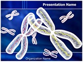 Chromosomes Structure
