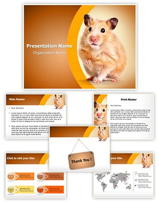 PPT - All About Hamsters PowerPoint Presentation, free download - ID:108105
