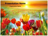 Nature Flowers Template