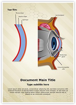 Cornea Tear Film Formation