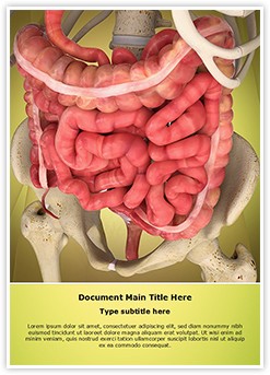 Intestinal Internal Organ